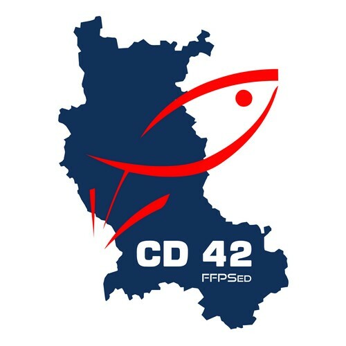Bienvenue sur le site officiel du CD42 PSed
