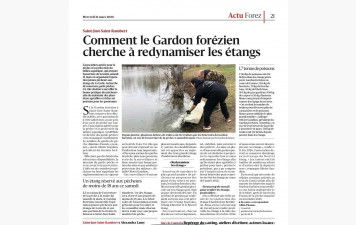 1,7 tonne de poissons et un appel aux renforts : Le Gardon forézien veut redonner du mordant à ses étangs