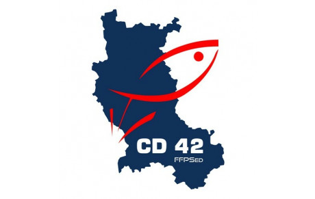 Bienvenue sur le site officiel du CD42 PSed