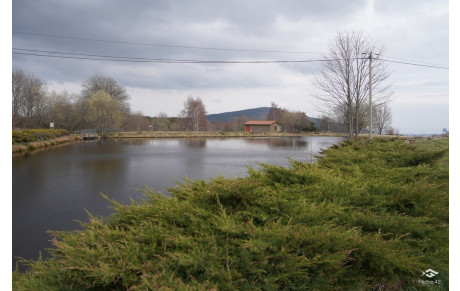 𝐏𝐞𝐭𝐢𝐭𝐞 𝐬𝐮𝐫𝐩𝐫𝐢𝐬𝐞 : 𝐮𝐧 𝐧𝐨𝐮𝐯𝐞𝐚𝐮 𝐫𝐞́𝐬𝐞𝐫𝐯𝐨𝐢𝐫 𝐝𝐞 𝐩𝐞̂𝐜𝐡𝐞 𝐝𝐞𝐬 𝐬𝐚𝐥𝐦𝐨𝐧𝐢𝐝𝐞́𝐬 ⵑ 🎣